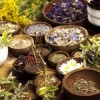 Лікувальні рослини